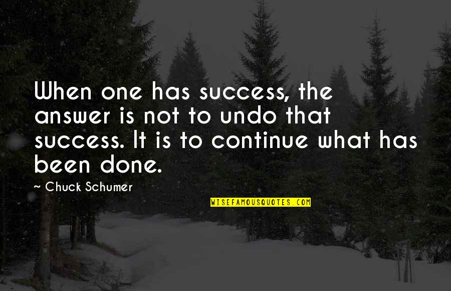 Rashideen International Quotes By Chuck Schumer: When one has success, the answer is not