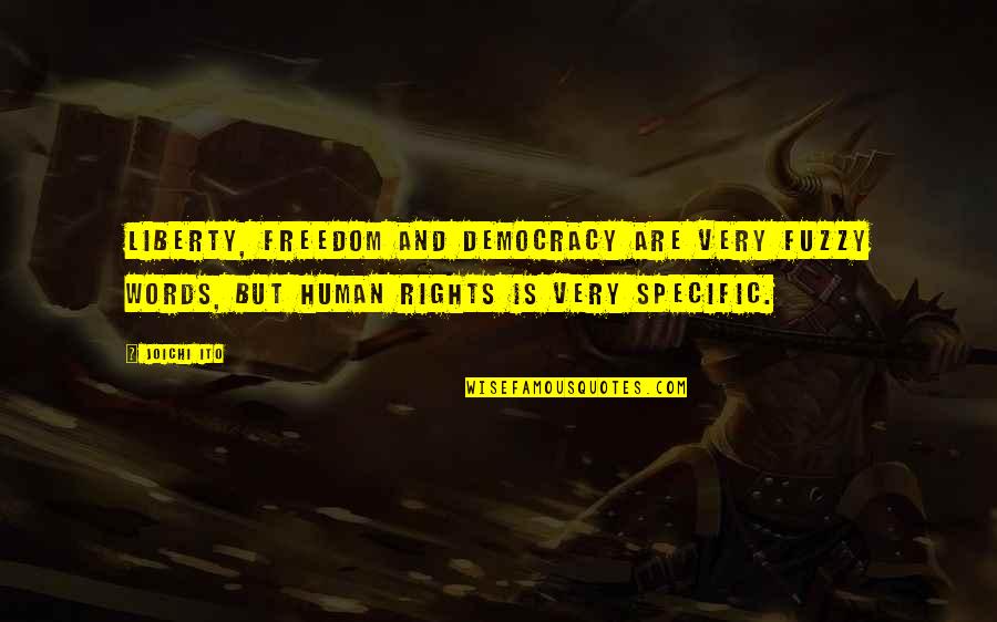 Rashonden Quotes By Joichi Ito: Liberty, freedom and democracy are very fuzzy words, Rashonden Quotes By Joichi Ito: Liberty, freedom and democracy are very fuzzy words,