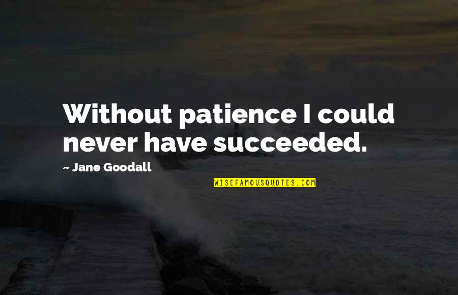 Raskas Cream Quotes By Jane Goodall: Without patience I could never have succeeded. Raskas Cream Quotes By Jane Goodall: Without patience I could never have succeeded.