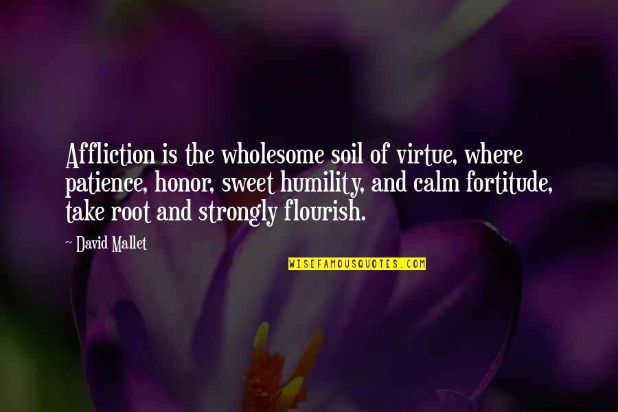 Rasool Saw Quotes By David Mallet: Affliction is the wholesome soil of virtue, where
