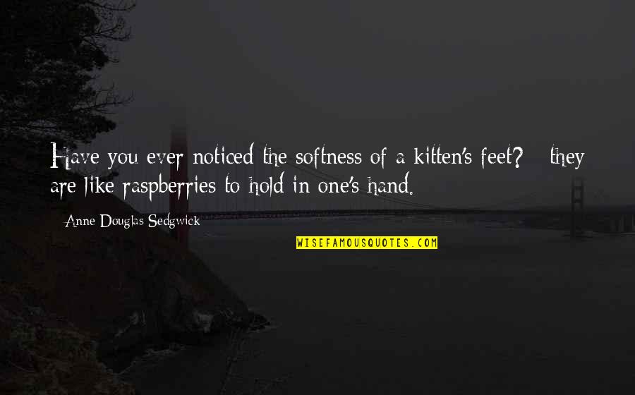 Raspberries Quotes By Anne Douglas Sedgwick: Have you ever noticed the softness of a Raspberries Quotes By Anne Douglas Sedgwick: Have you ever noticed the softness of a