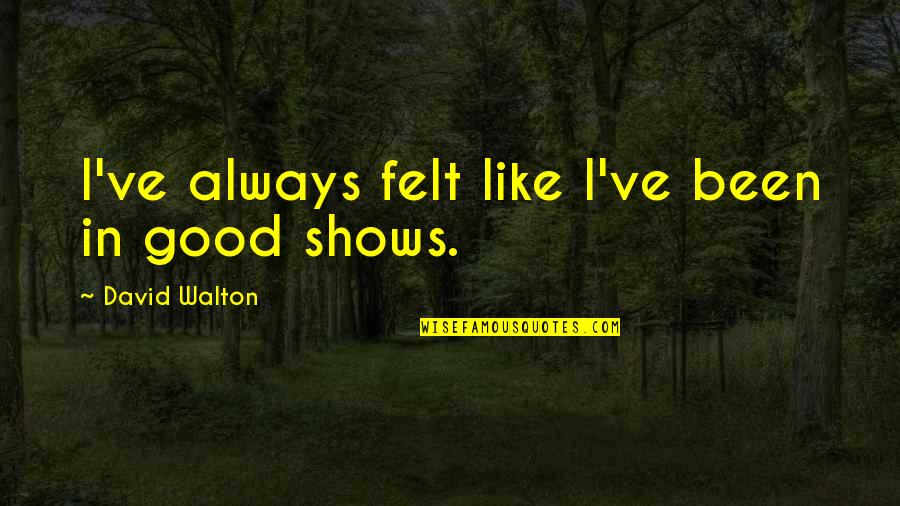 Rasseln Quotes By David Walton: I've always felt like I've been in good Rasseln Quotes By David Walton: I've always felt like I've been in good
