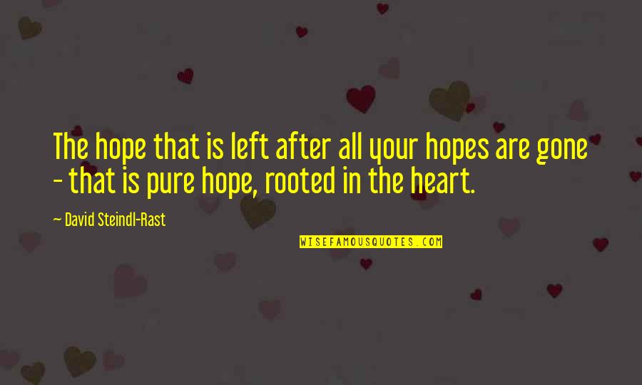 Rast Quotes By David Steindl-Rast: The hope that is left after all your Rast Quotes By David Steindl-Rast: The hope that is left after all your