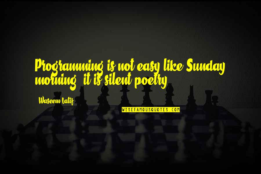 Rastelli Steaks Quotes By Waseem Latif: Programming is not easy like Sunday morning, it