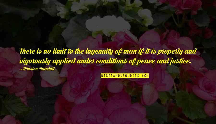 Rastorfer Houston Quotes By Winston Churchill: There is no limit to the ingenuity of Rastorfer Houston Quotes By Winston Churchill: There is no limit to the ingenuity of