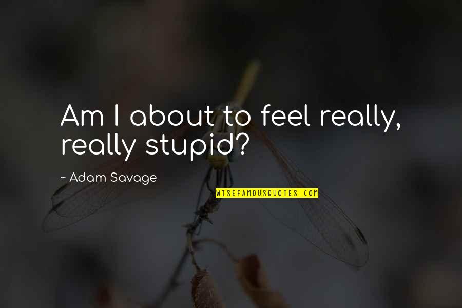 Rasure Quotes By Adam Savage: Am I about to feel really, really stupid? Rasure Quotes By Adam Savage: Am I about to feel really, really stupid?