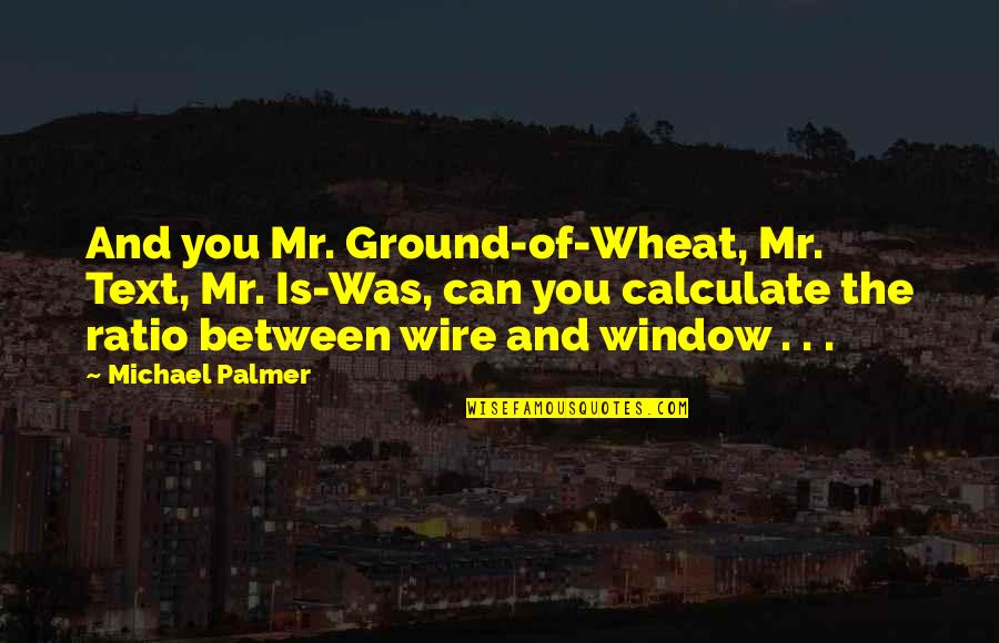 Ratio Between Quotes By Michael Palmer: And you Mr. Ground-of-Wheat, Mr. Text, Mr. Is-Was,