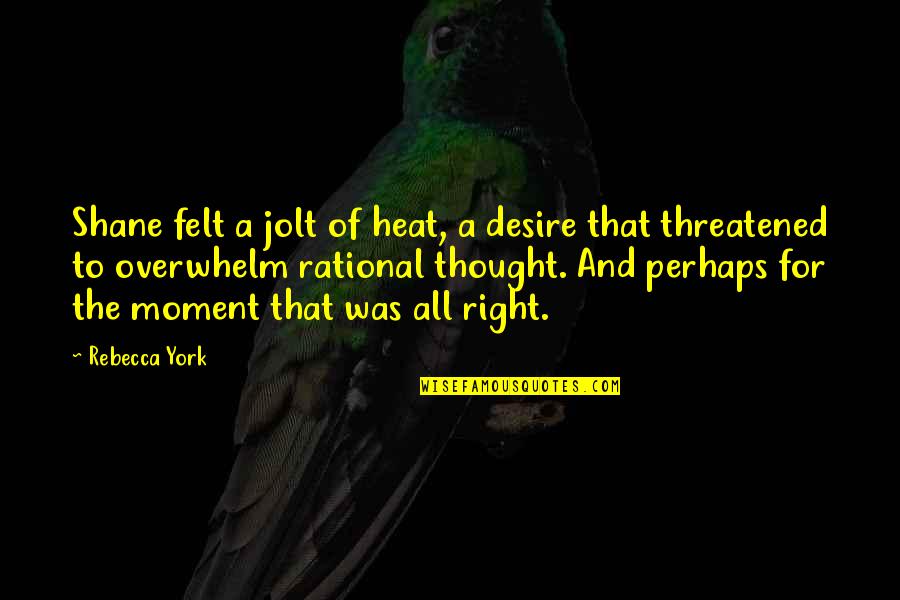 Rational Thought Quotes By Rebecca York: Shane felt a jolt of heat, a desire Rational Thought Quotes By Rebecca York: Shane felt a jolt of heat, a desire