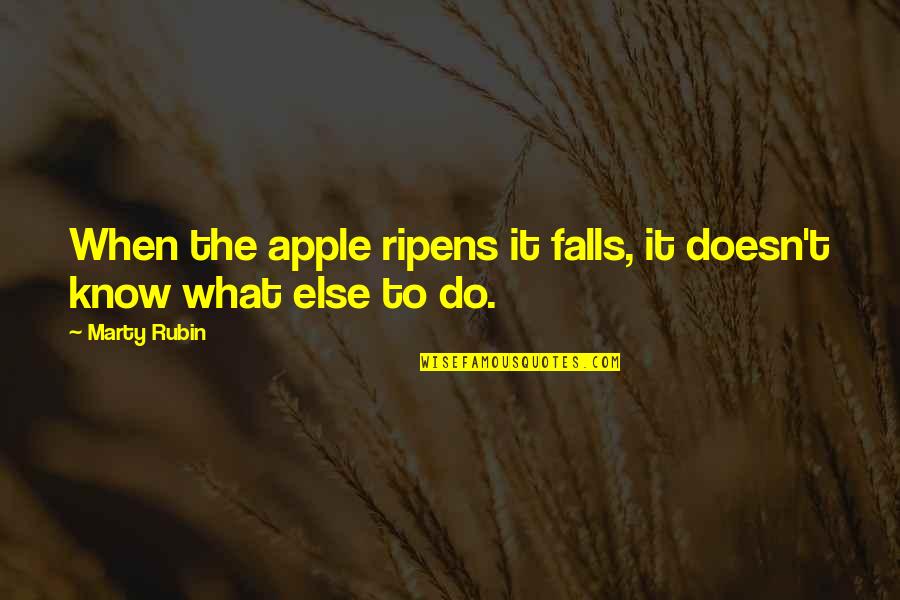 Rationalism Literature Quotes By Marty Rubin: When the apple ripens it falls, it doesn't