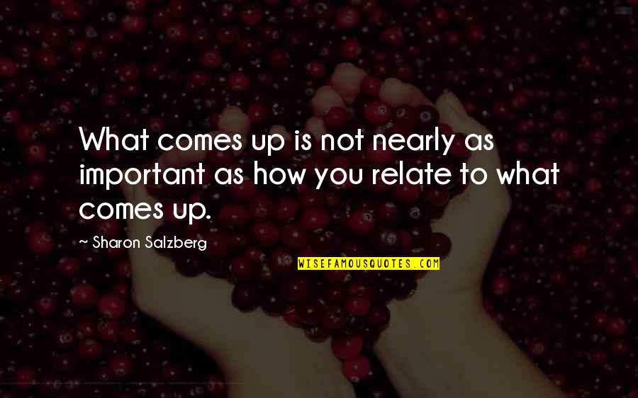 Rationalit Absolue Quotes By Sharon Salzberg: What comes up is not nearly as important