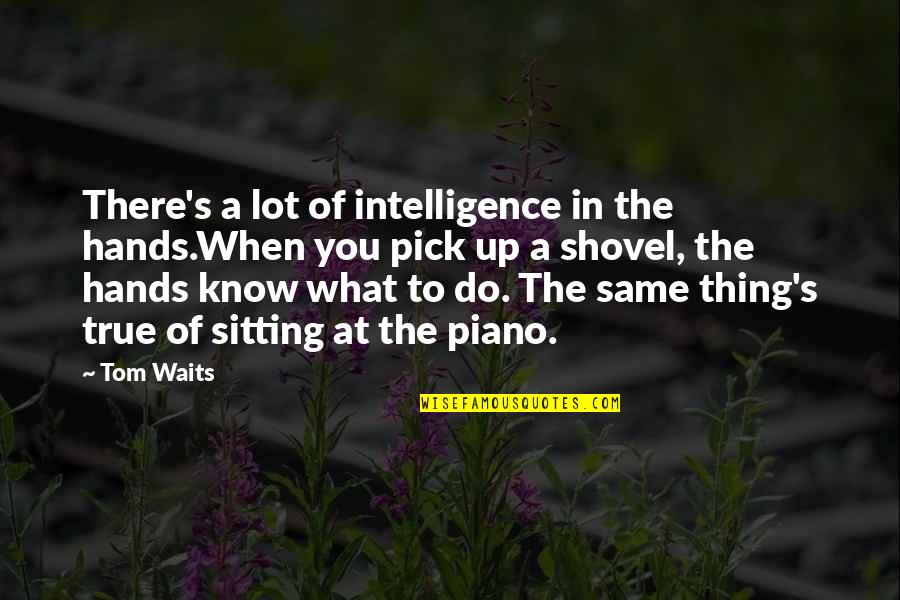 Rattigan Obgyn Quotes By Tom Waits: There's a lot of intelligence in the hands.When Rattigan Obgyn Quotes By Tom Waits: There's a lot of intelligence in the hands.When