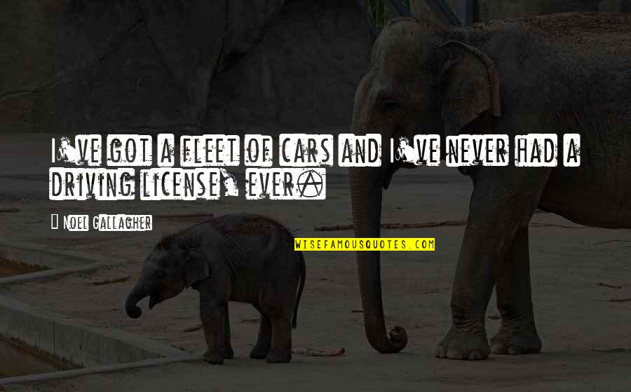 Rattner Howard Quotes By Noel Gallagher: I've got a fleet of cars and I've Rattner Howard Quotes By Noel Gallagher: I've got a fleet of cars and I've