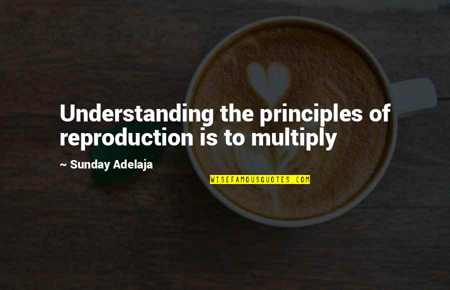 Ratul Khan Quotes By Sunday Adelaja: Understanding the principles of reproduction is to multiply