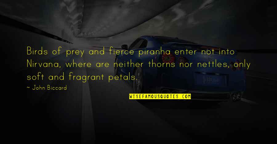 Raudales In English Quotes By John Biccard: Birds of prey and fierce piranha enter not