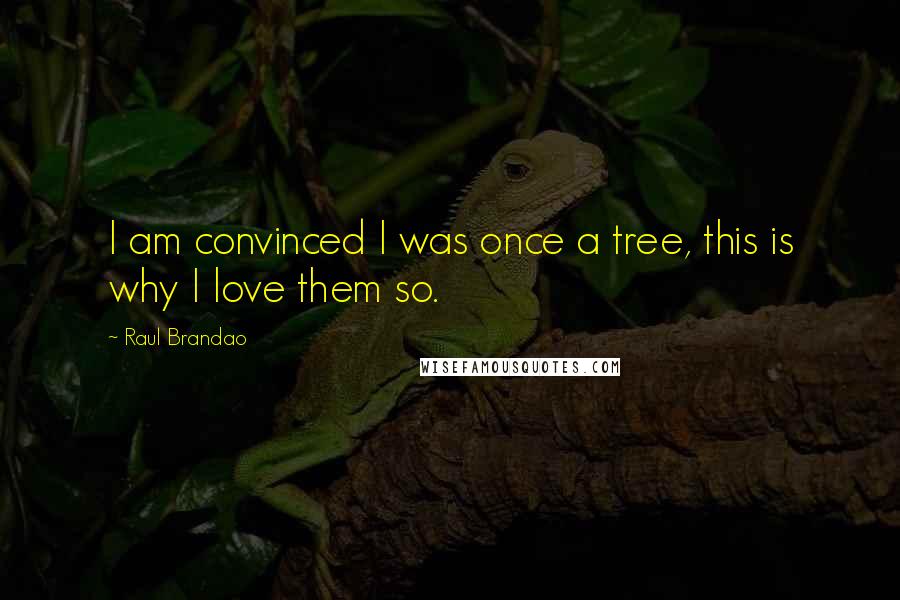 Raul Brandao quotes: I am convinced I was once a tree, this is why I love them so.