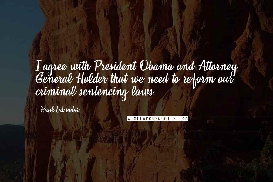 Raul Labrador quotes: I agree with President Obama and Attorney General Holder that we need to reform our criminal sentencing laws.