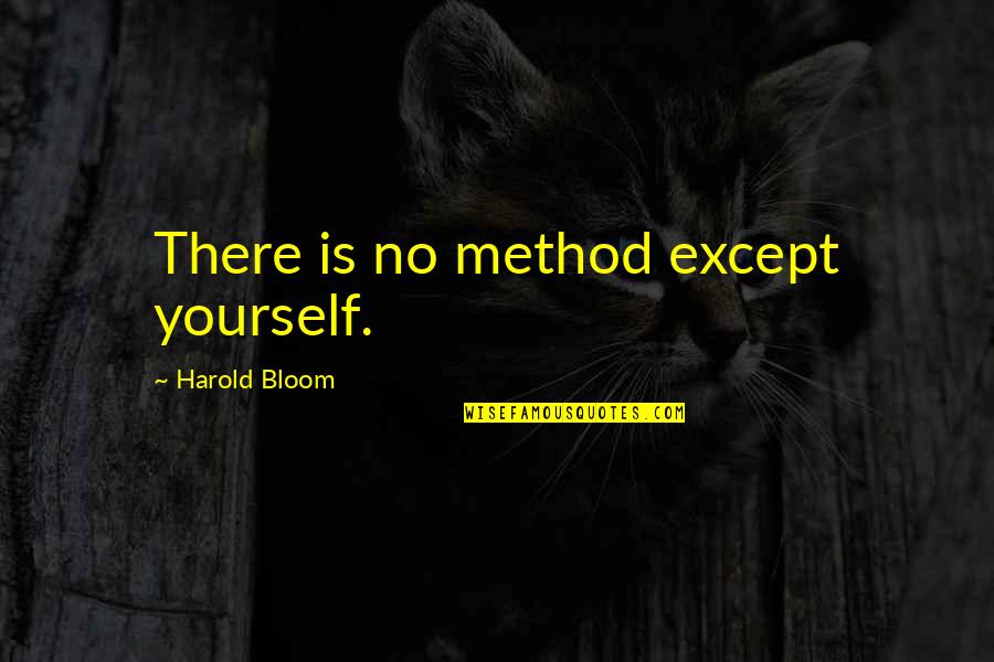 Rauschenbergs Bed Quotes By Harold Bloom: There is no method except yourself. Rauschenbergs Bed Quotes By Harold Bloom: There is no method except yourself.