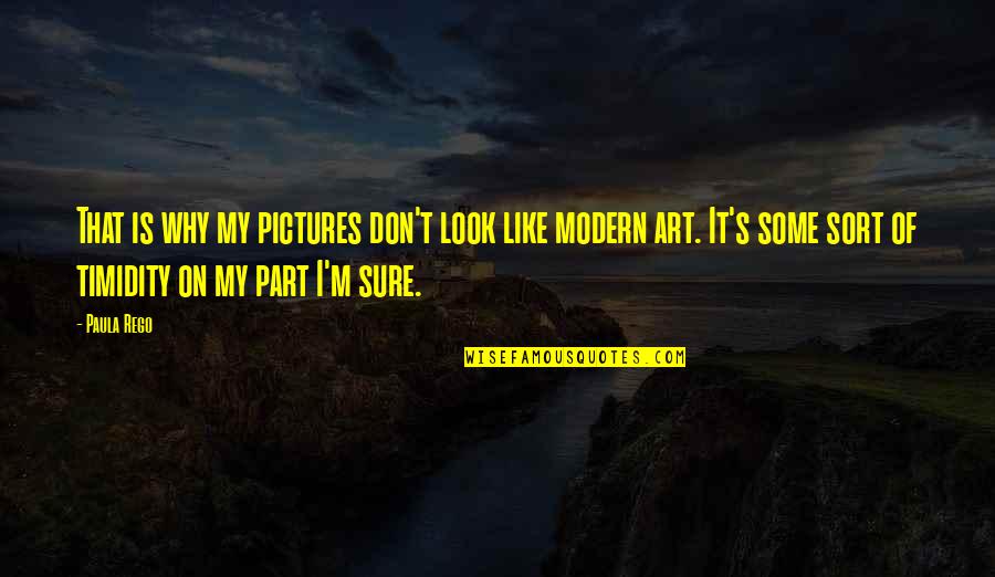 Ravasi Noi Quotes By Paula Rego: That is why my pictures don't look like