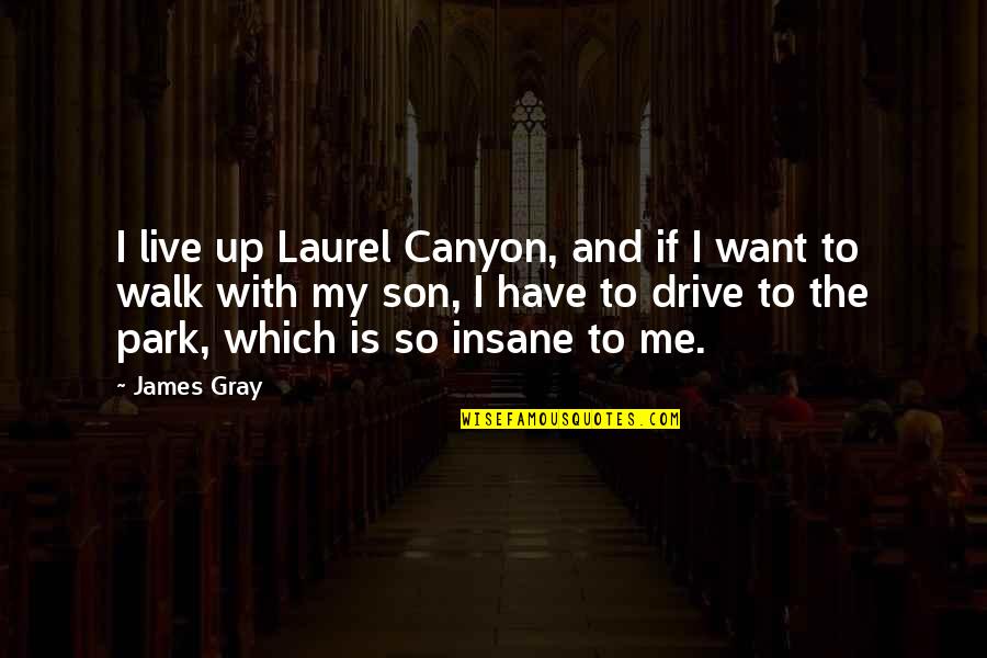 Ravikant Choudhry Quotes By James Gray: I live up Laurel Canyon, and if I Ravikant Choudhry Quotes By James Gray: I live up Laurel Canyon, and if I
