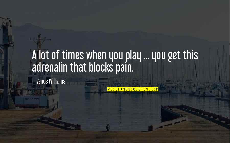 Ravipati Nagesh Quotes By Venus Williams: A lot of times when you play ...