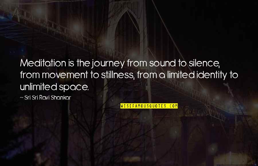Ravi's Quotes By Sri Sri Ravi Shankar: Meditation is the journey from sound to silence,