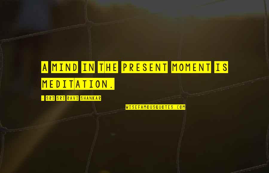 Ravi's Quotes By Sri Sri Ravi Shankar: A mind in the present moment is meditation.