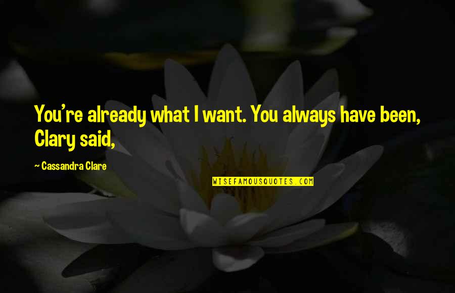 Ravnopravnost Nurkic Quotes By Cassandra Clare: You're already what I want. You always have Ravnopravnost Nurkic Quotes By Cassandra Clare: You're already what I want. You always have
