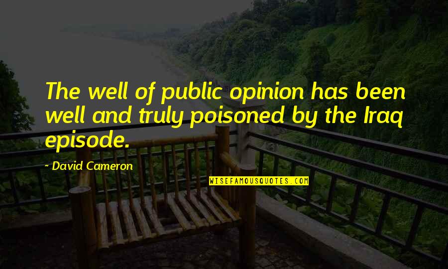 Ravon Johnson Quotes By David Cameron: The well of public opinion has been well