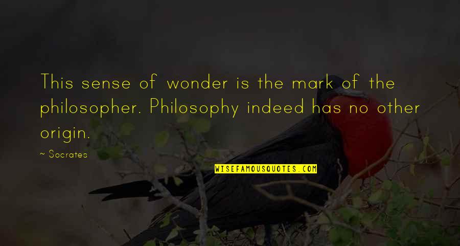 Raw Beauty Quotes By Socrates: This sense of wonder is the mark of