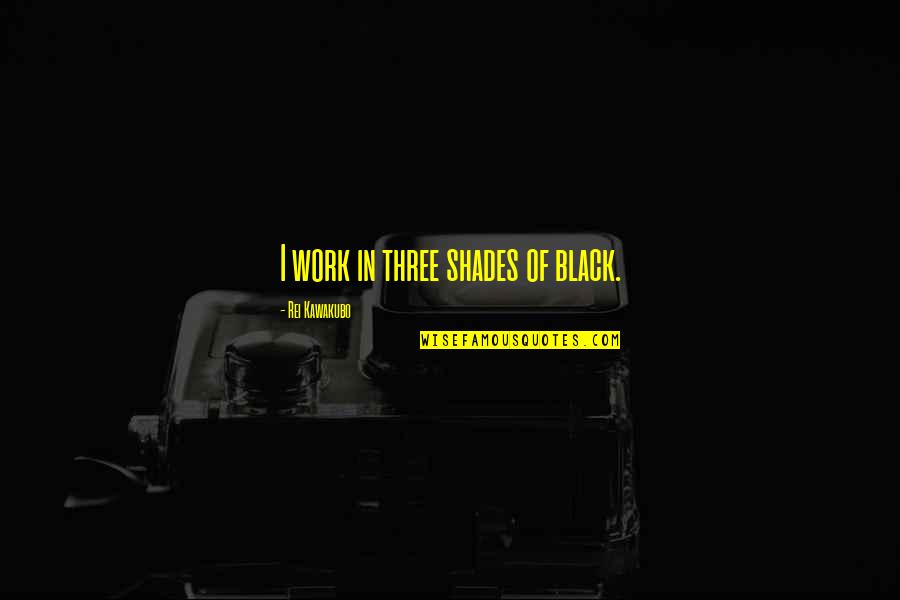 Raw Passion Quotes By Rei Kawakubo: I work in three shades of black.