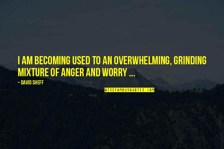 Raw Scott Monk Quotes By David Sheff: I am becoming used to an overwhelming, grinding