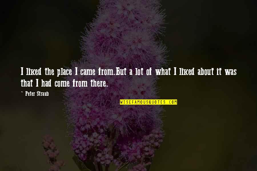 Rawalt George Quotes By Peter Straub: I liked the place I came from.But a Rawalt George Quotes By Peter Straub: I liked the place I came from.But a