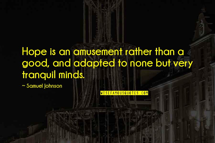 Rawer Meeting Quotes By Samuel Johnson: Hope is an amusement rather than a good,