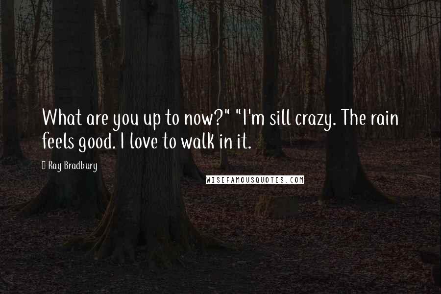 Ray Bradbury quotes: What are you up to now?" "I'm sill crazy. The rain feels good. I love to walk in it.