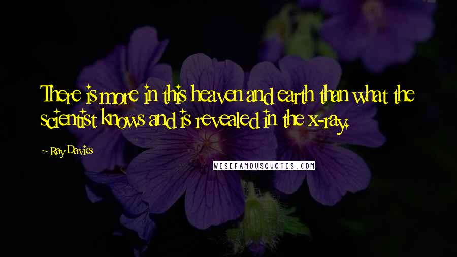 Ray Davies quotes: There is more in this heaven and earth than what the scientist knows and is revealed in the x-ray.