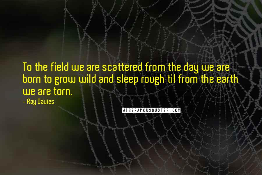 Ray Davies quotes: To the field we are scattered from the day we are born to grow wild and sleep rough til from the earth we are torn.