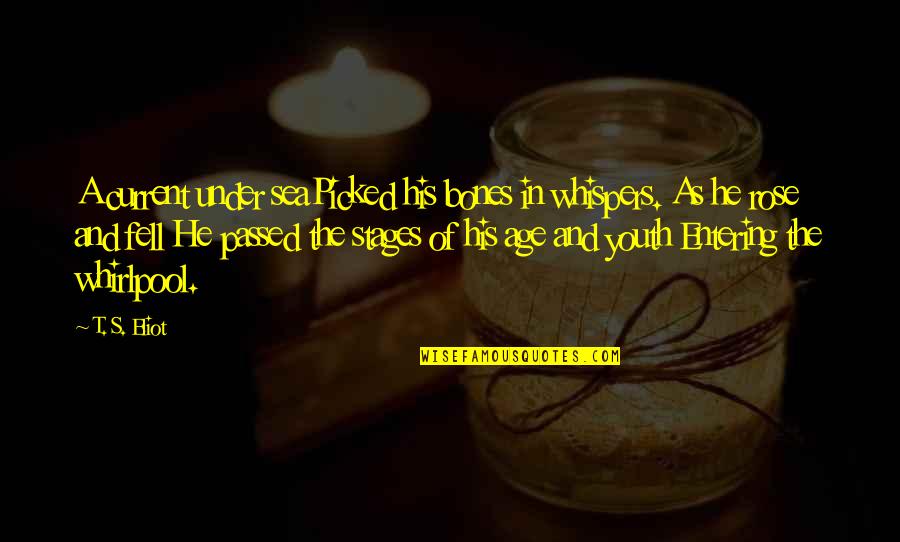 Ray Finkle Quotes By T. S. Eliot: A current under seaPicked his bones in whispers. Ray Finkle Quotes By T. S. Eliot: A current under seaPicked his bones in whispers.