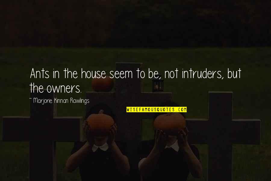 Ray Jerry Maguire Quotes By Marjorie Kinnan Rawlings: Ants in the house seem to be, not Ray Jerry Maguire Quotes By Marjorie Kinnan Rawlings: Ants in the house seem to be, not