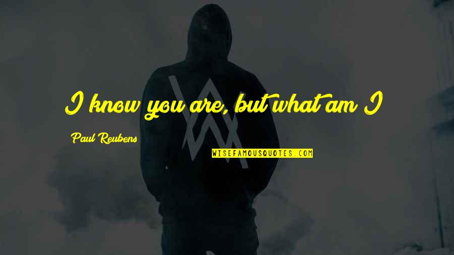 Ray Kurzweil Quote Quotes By Paul Reubens: I know you are, but what am I? Ray Kurzweil Quote Quotes By Paul Reubens: I know you are, but what am I?