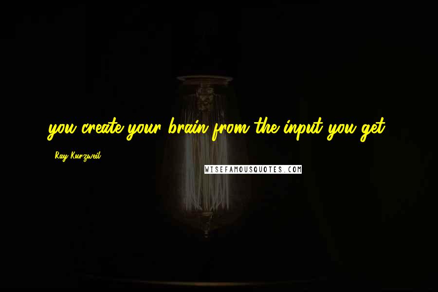 Ray Kurzweil quotes: you create your brain from the input you get.