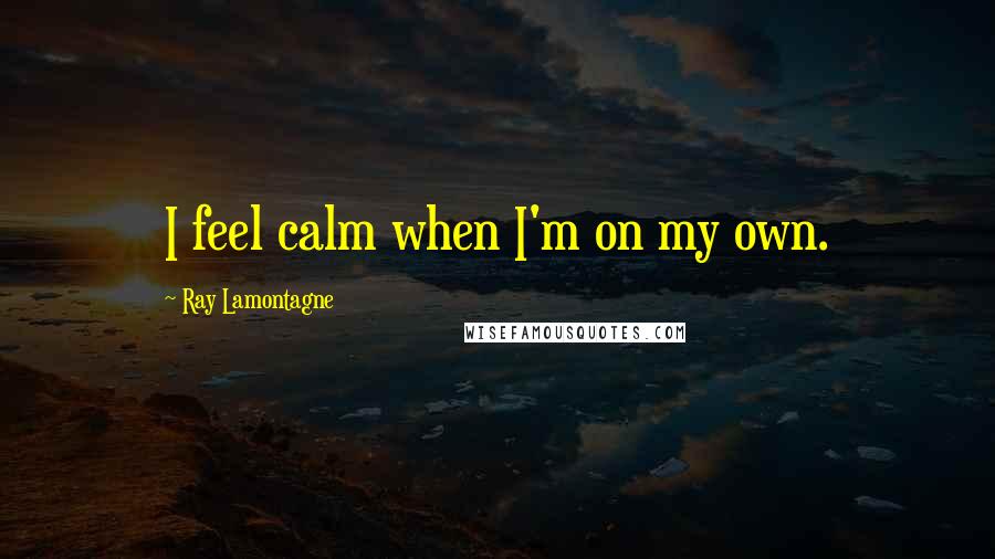 Ray Lamontagne quotes: I feel calm when I'm on my own.