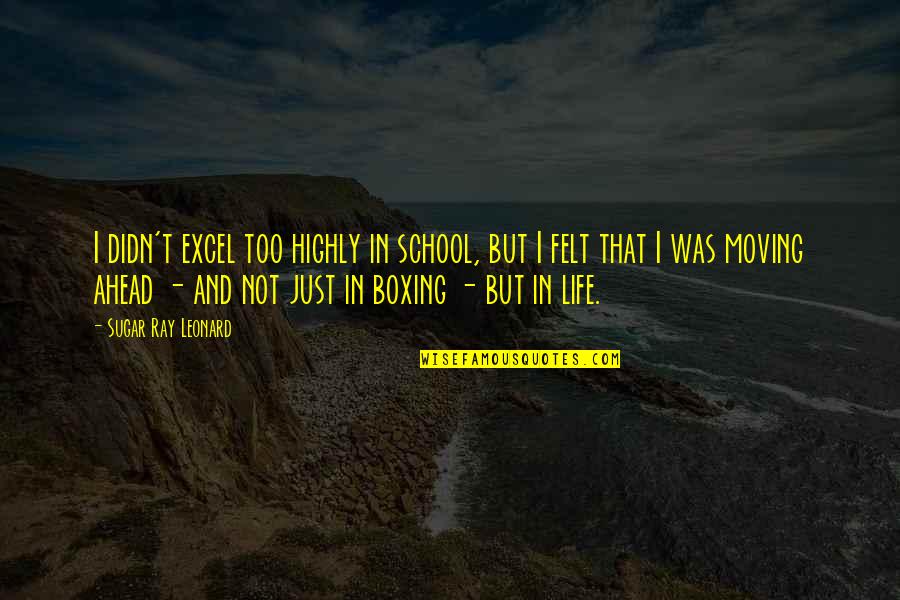 Ray Leonard Quotes By Sugar Ray Leonard: I didn't excel too highly in school, but Ray Leonard Quotes By Sugar Ray Leonard: I didn't excel too highly in school, but