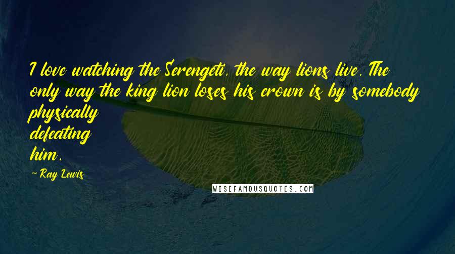 Ray Lewis quotes: I love watching the Serengeti, the way lions live. The only way the king lion loses his crown is by somebody physically defeating him.