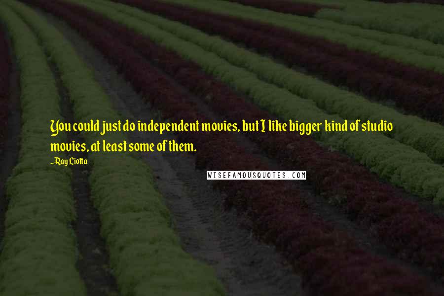 Ray Liotta quotes: You could just do independent movies, but I like bigger kind of studio movies, at least some of them.