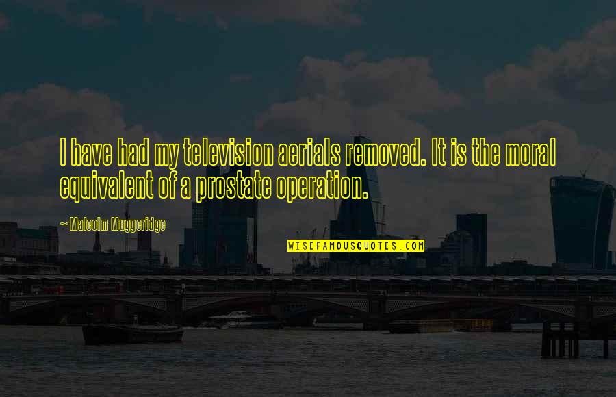 Ray Mccormack Quotes By Malcolm Muggeridge: I have had my television aerials removed. It Ray Mccormack Quotes By Malcolm Muggeridge: I have had my television aerials removed. It