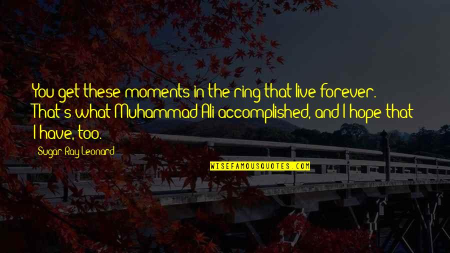 Ray Of Hope Quotes By Sugar Ray Leonard: You get these moments in the ring that Ray Of Hope Quotes By Sugar Ray Leonard: You get these moments in the ring that