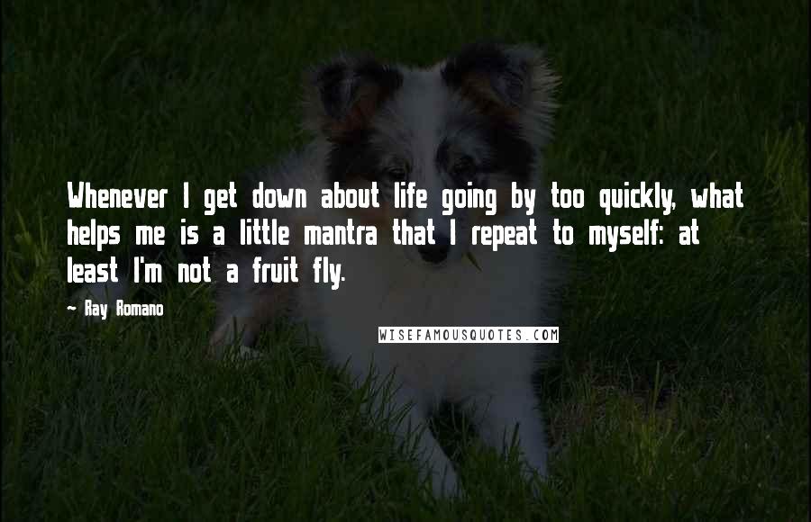 Ray Romano quotes: Whenever I get down about life going by too quickly, what helps me is a little mantra that I repeat to myself: at least I'm not a fruit fly. Ray Romano quotes: Whenever I get down about life going by too quickly, what helps me is a little mantra that I repeat to myself: at least I'm not a fruit fly.
