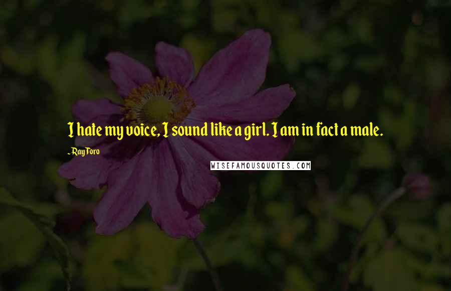 Ray Toro quotes: I hate my voice, I sound like a girl. I am in fact a male.