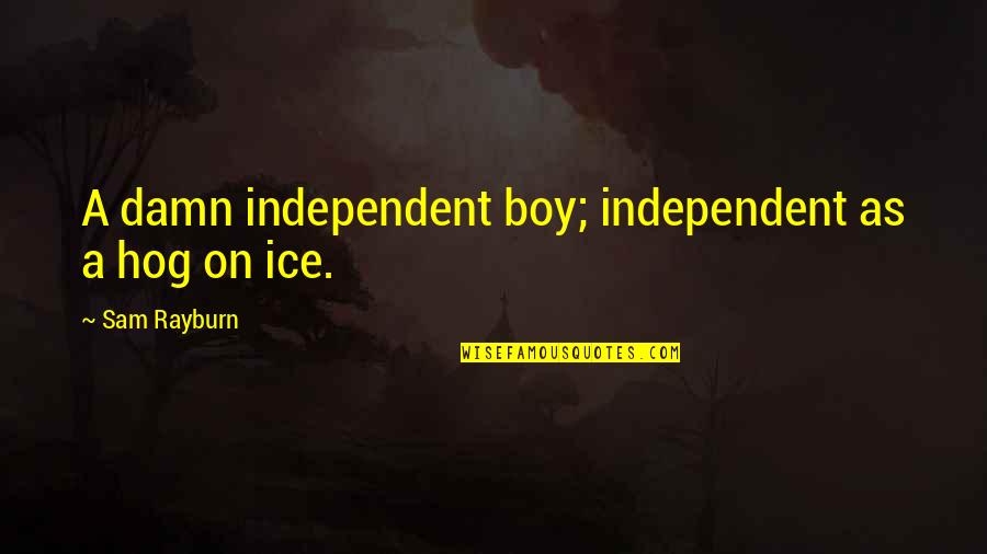 Rayburn Quotes By Sam Rayburn: A damn independent boy; independent as a hog Rayburn Quotes By Sam Rayburn: A damn independent boy; independent as a hog