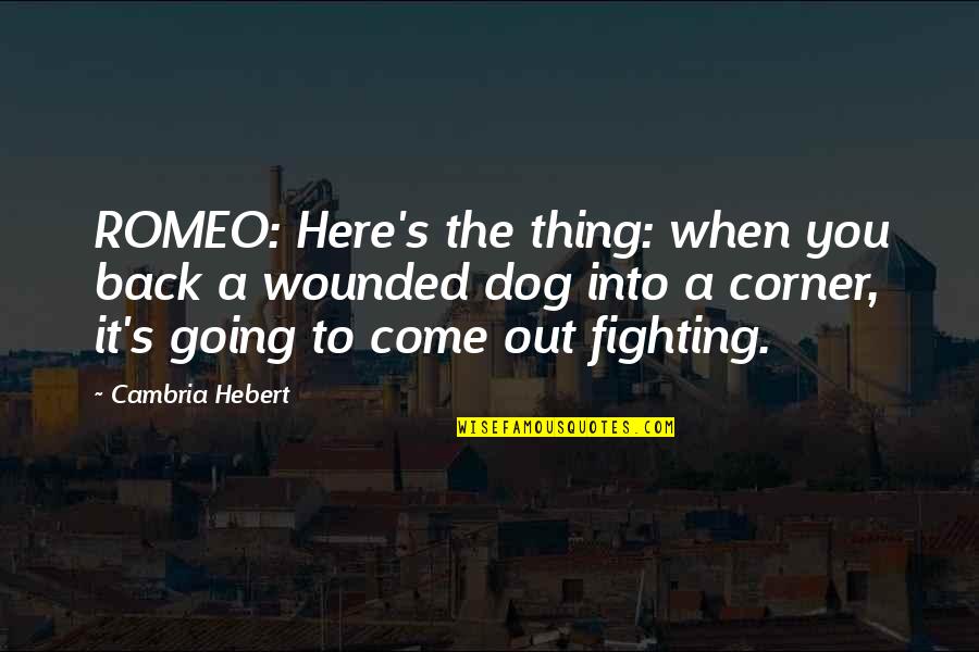 Rayia Reikai Quotes By Cambria Hebert: ROMEO: Here's the thing: when you back a Rayia Reikai Quotes By Cambria Hebert: ROMEO: Here's the thing: when you back a